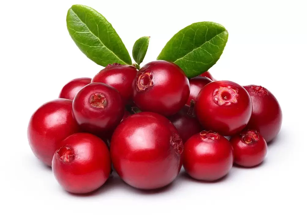 Cranberry in femixal